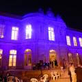 Le château mis en lumière, version mauve